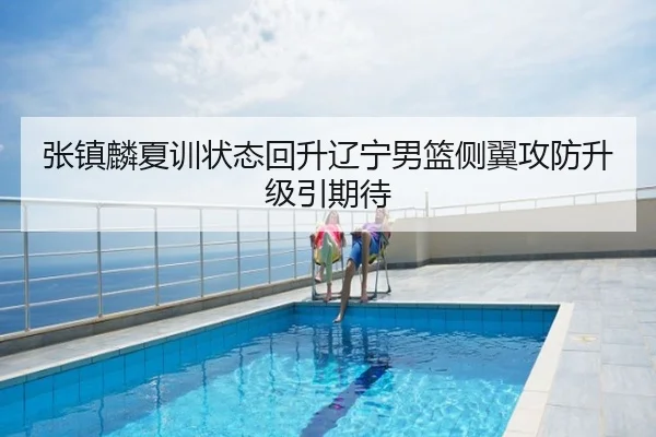 张镇麟夏训状态回升辽宁男篮侧翼攻防升级引期待