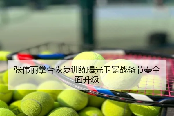张伟丽拳台恢复训练曝光卫冕战备节奏全面升级